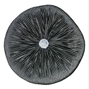 Paparazzi Accessories EXCLUSIVE Cruise Pillow